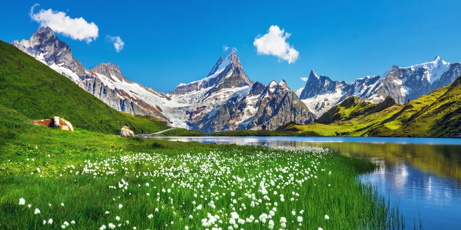Schweiz von gomedix GmbH